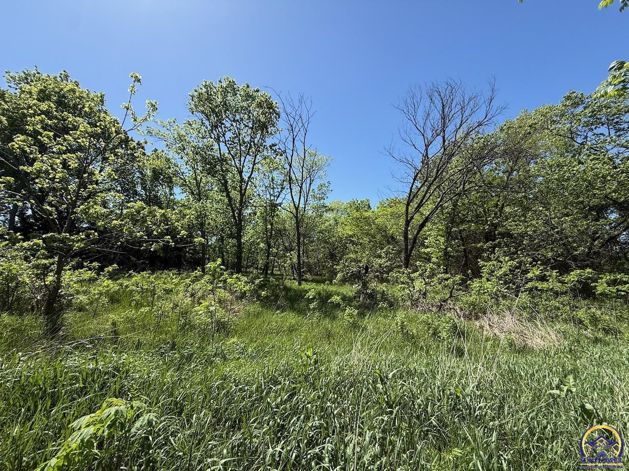 0 South Morrill Road, Unit LOT 1 Scranton, KS 66537 - Photo 22 of 23