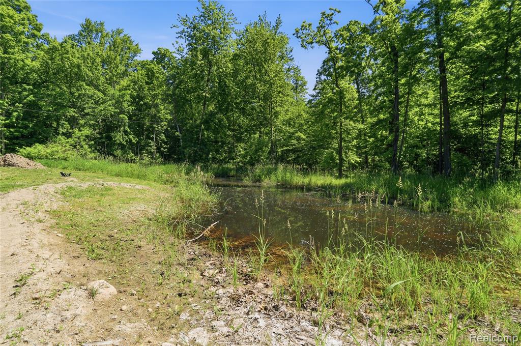 14830 Sheridan Road Byron, MI 48418 - Photo 45 of 74