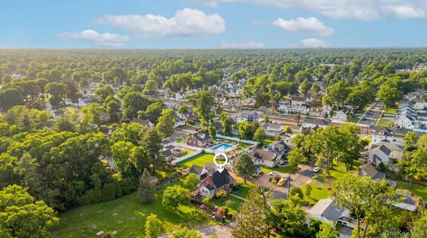 a view of a garden with plants