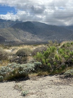 13054 Blue Flag Road Cabazon, CA 92230 - Photo 2 of 2 a view of a yard
