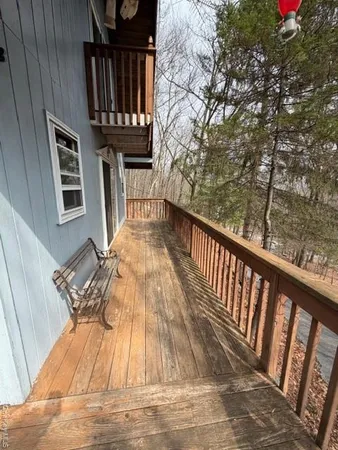 a view of a yard with trees