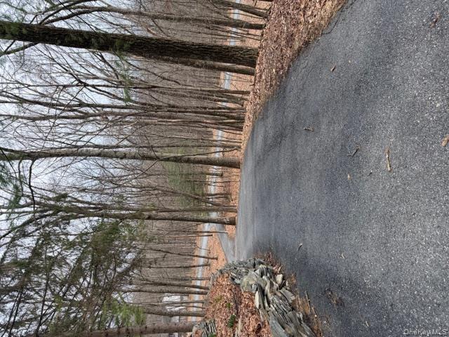 120 Swallow Court Bushkill, PA 18324 - Photo 13 of 39 a view of dirt yard with a large tree