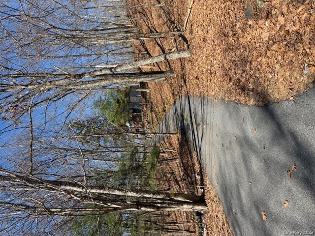 120 Swallow Court Bushkill, PA 18324 - Photo 34 of 39 a view of a yard with large trees