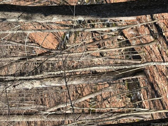 120 Swallow Court Bushkill, PA 18324 - Photo 36 of 39 front view of a building