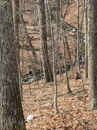 a view of a backyard of the house
