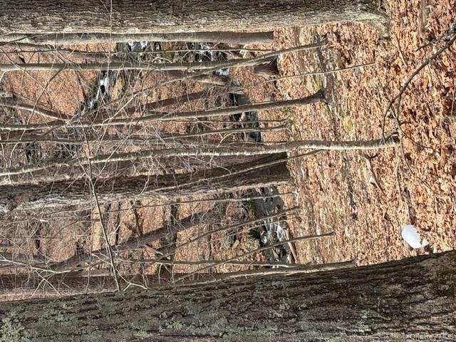 120 Swallow Court Bushkill, PA 18324 - Photo 5 of 39 a view of a backyard of the house