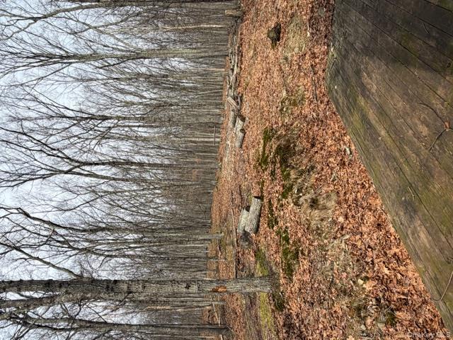 120 Swallow Court Bushkill, PA 18324 - Photo 6 of 39 a view of a backyard of the house