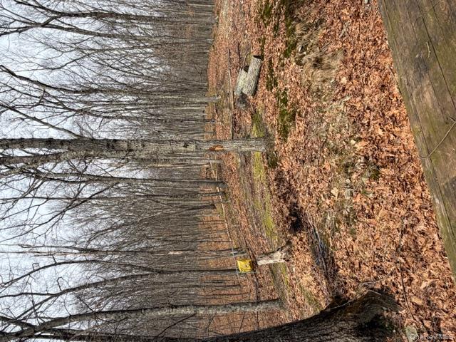 120 Swallow Court Bushkill, PA 18324 - Photo 7 of 39 a view of a yard with trees