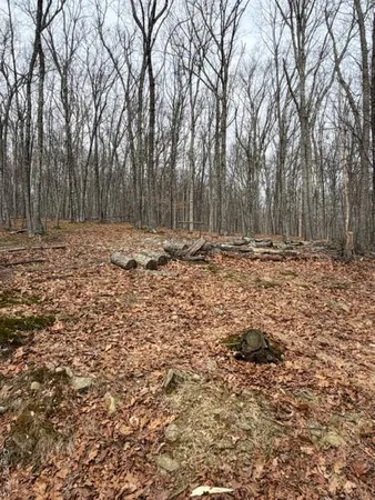 a view of a backyard of the house