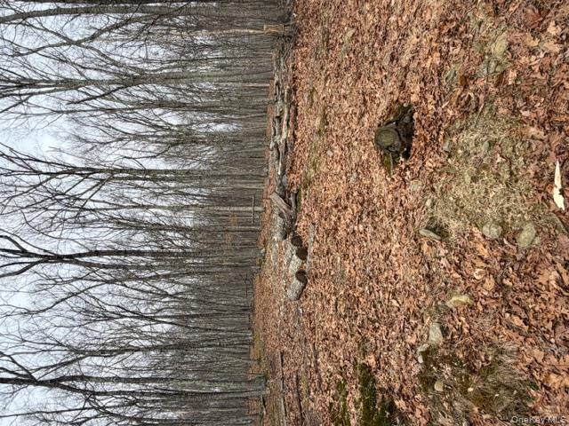120 Swallow Court Bushkill, PA 18324 - Photo 8 of 39 a view of a backyard of the house