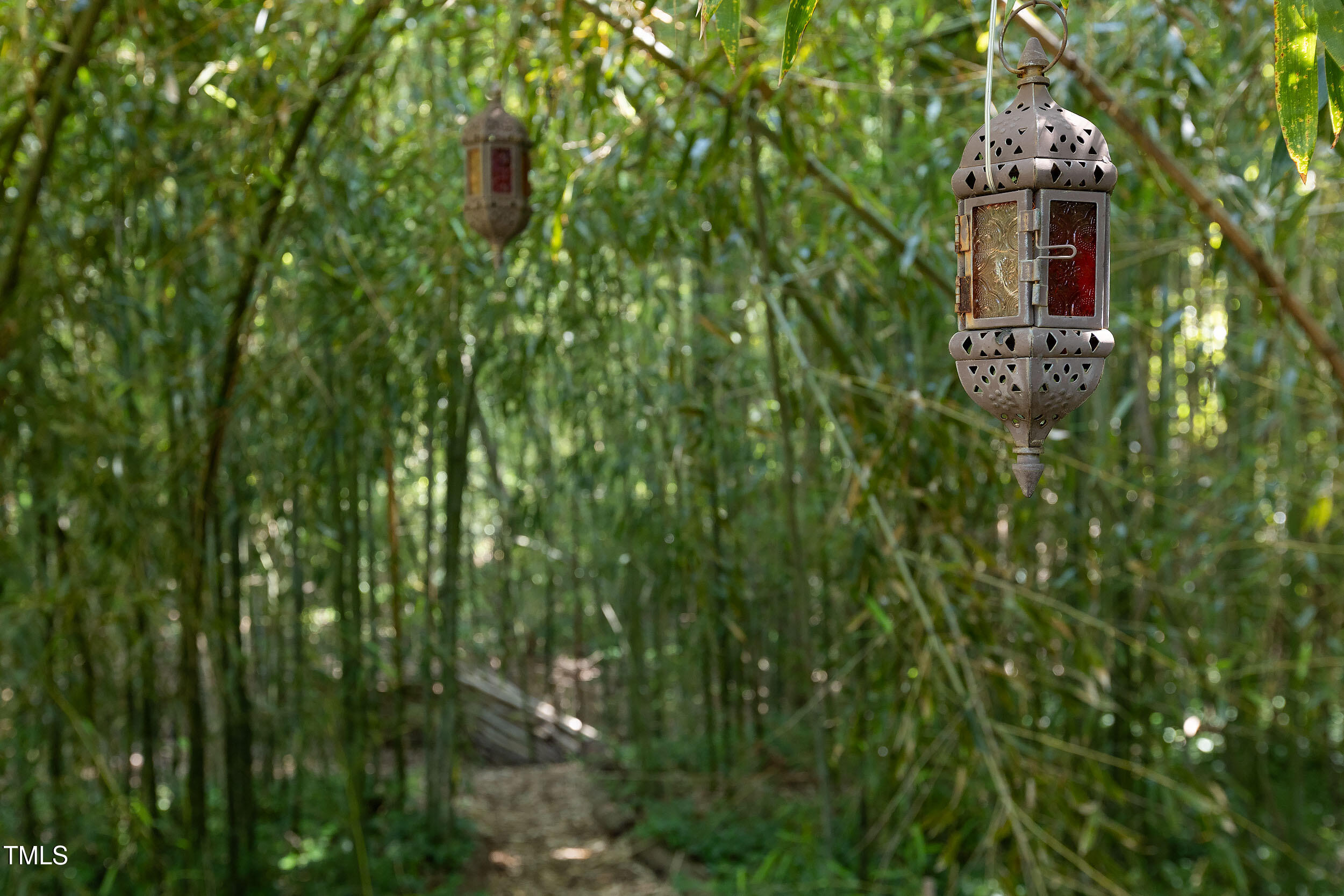 1613 Euclid Road Durham, NC 27713 - Photo 32 of 36 Euclid Bamboo Lantern