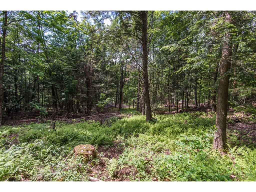 537 Shaw Mansion Road Waterbury, VT 05677 - Photo 1 of 1 Gallery Image 1