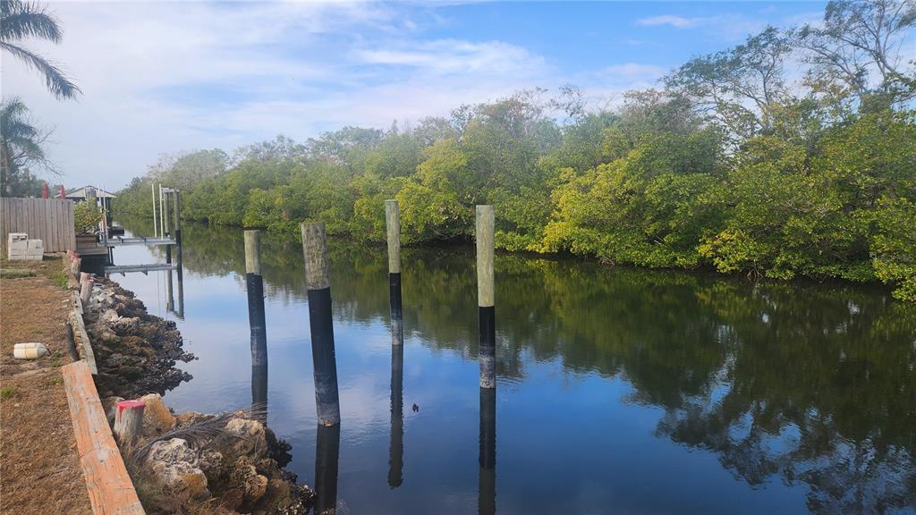 3203 West Shell Point Road Ruskin, FL 33570 - Photo 3 of 3 a lake view with a garden