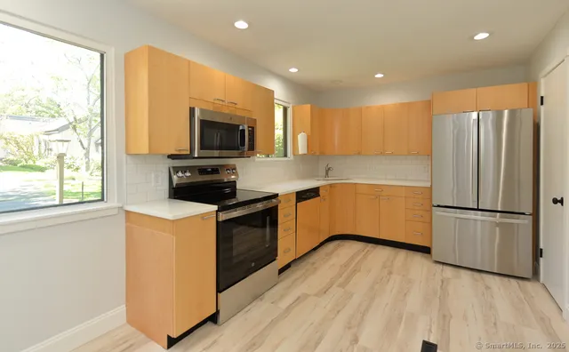 a kitchen with a refrigerator a stove top oven a sink and a potted plant