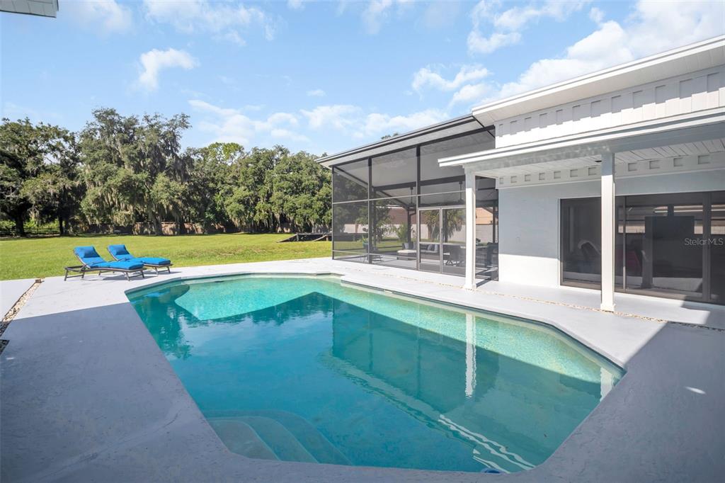 810 Warren Road Lutz, FL 33548 - Photo 39 of 68 Gallery Image 39