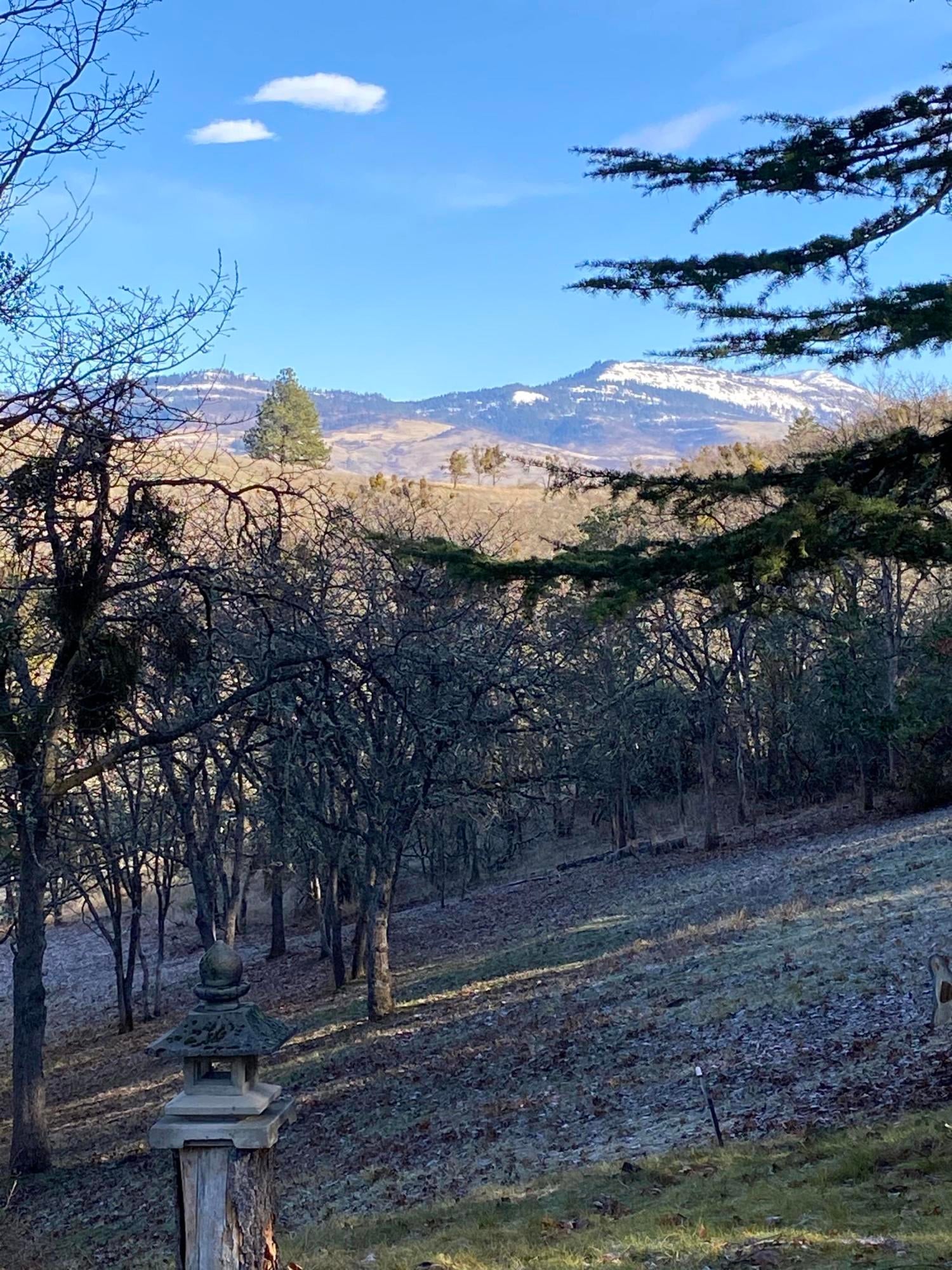 2775 Quail Run Road Talent, OR 97540 - Photo 2 of 22 IMG_1002