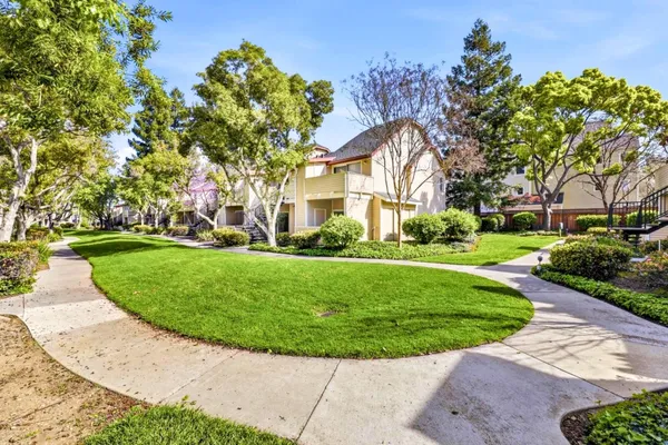 a view of backyard with garden and entertaining space