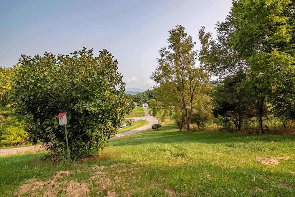 12361 Chip Ridge Road Abingdon, VA 24210 - Photo 10 of 33 Gallery Image 10