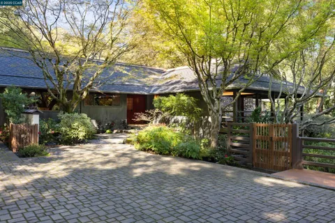 a view of a pathway of a house with a small yard plants and large tree