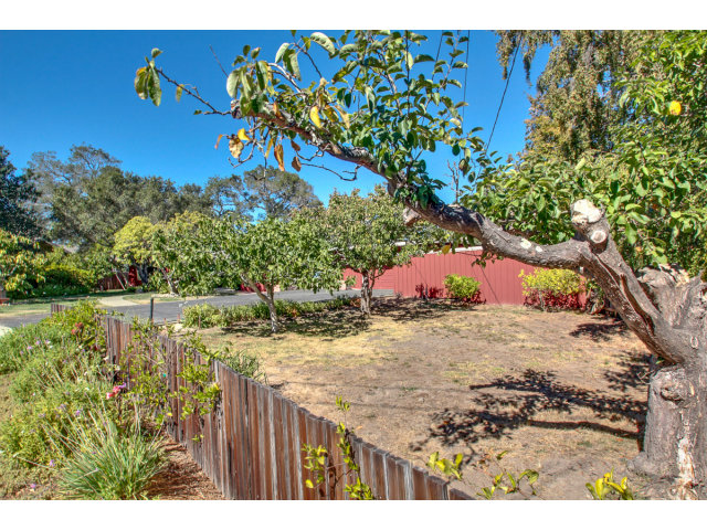 266 Meadow Road Santa Cruz, CA 95060 - Photo 17 of 20 Gallery Image 17