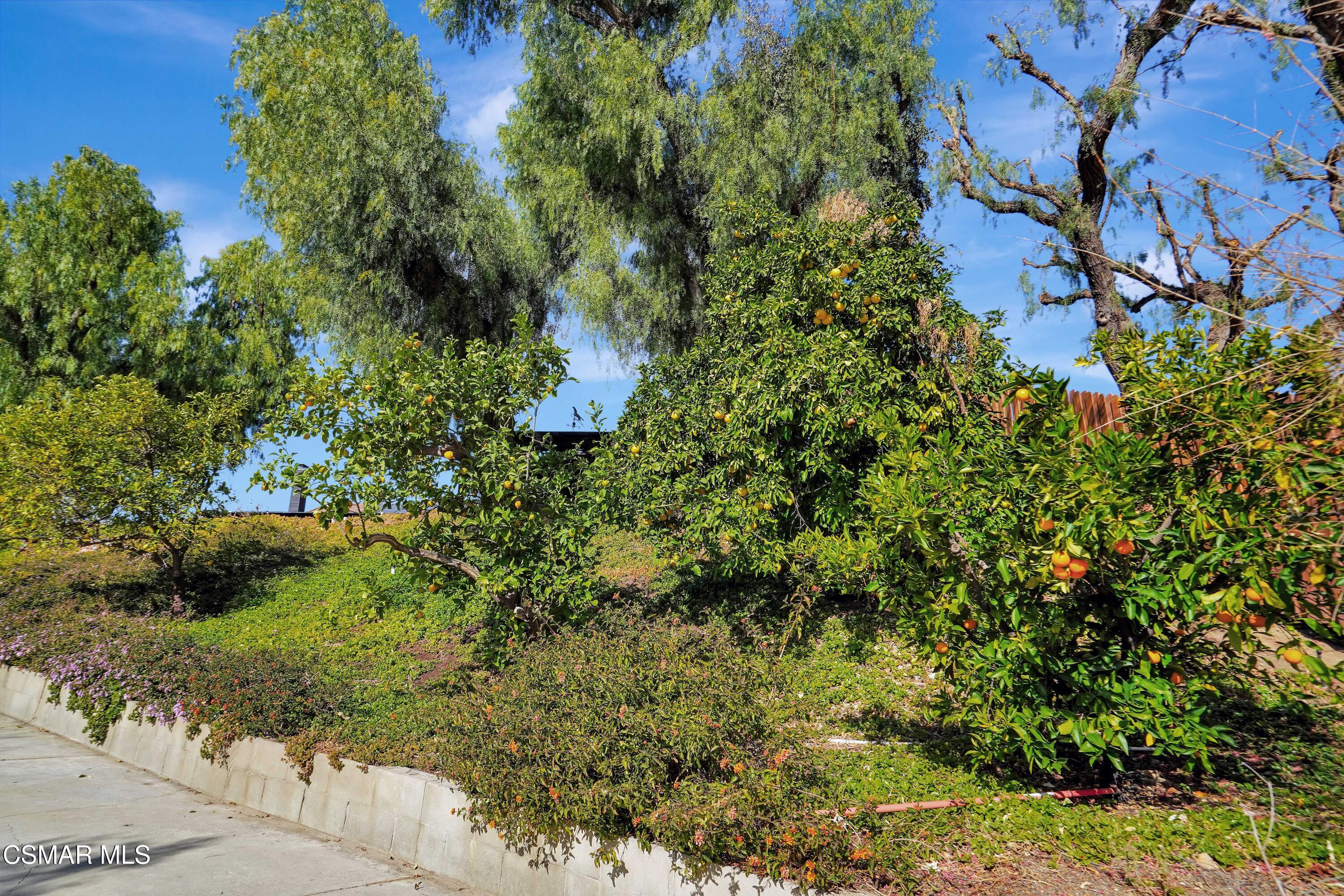 160 Wrangler Road Simi Valley, CA 93065 - Photo 47 of 65 a view of a garden