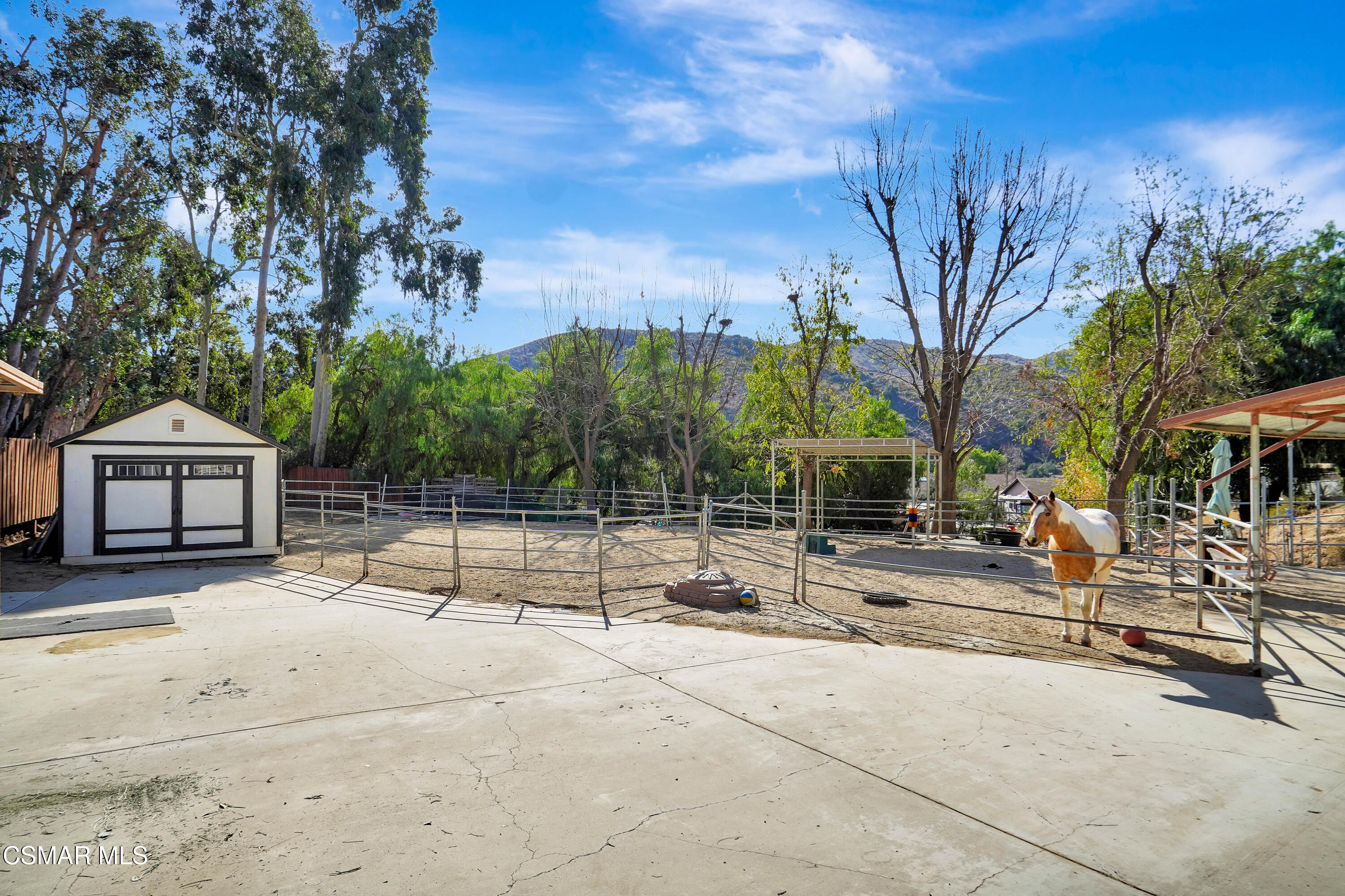 160 Wrangler Road Simi Valley, CA 93065 - Photo 51 of 65 a row of palm trees in front of house