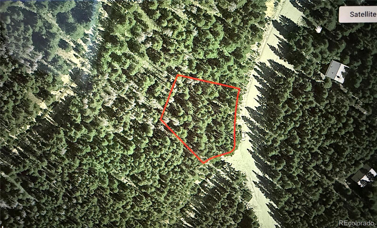 Lot 378 Alice Road Idaho Springs, CO 80452 - Photo 25 of 26 a view of a tree in a yard