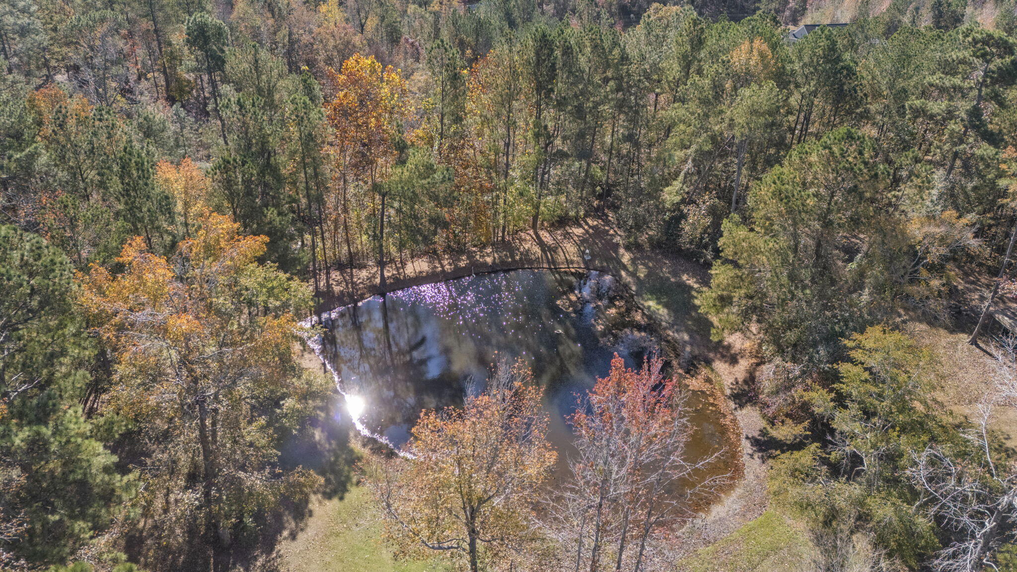 861 Murrah Road North Augusta, SC 29860 - Photo 2 of 39 7-web-or-mls-DJI_20251110112343_0336_D