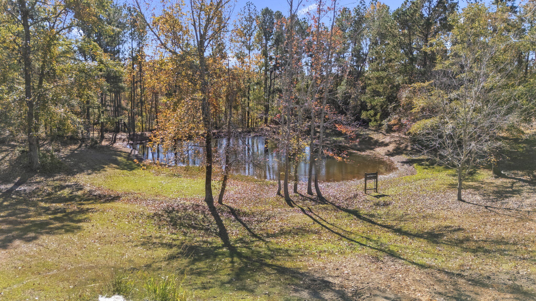 861 Murrah Road North Augusta, SC 29860 - Photo 36 of 39 3-web-or-mls-DJI_20251110112212_0315_D