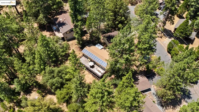 a view of a backyard with plants and a patio