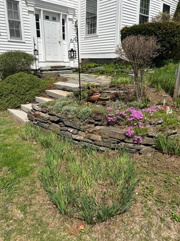 296 Main Street Plainfield, MA 01070 - Photo 3 of 42 a backyard of a house with lots of green space