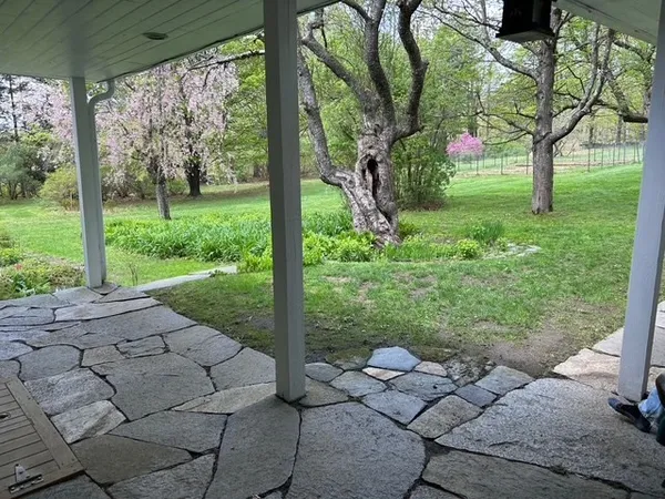 a view of a yard with plants and large trees