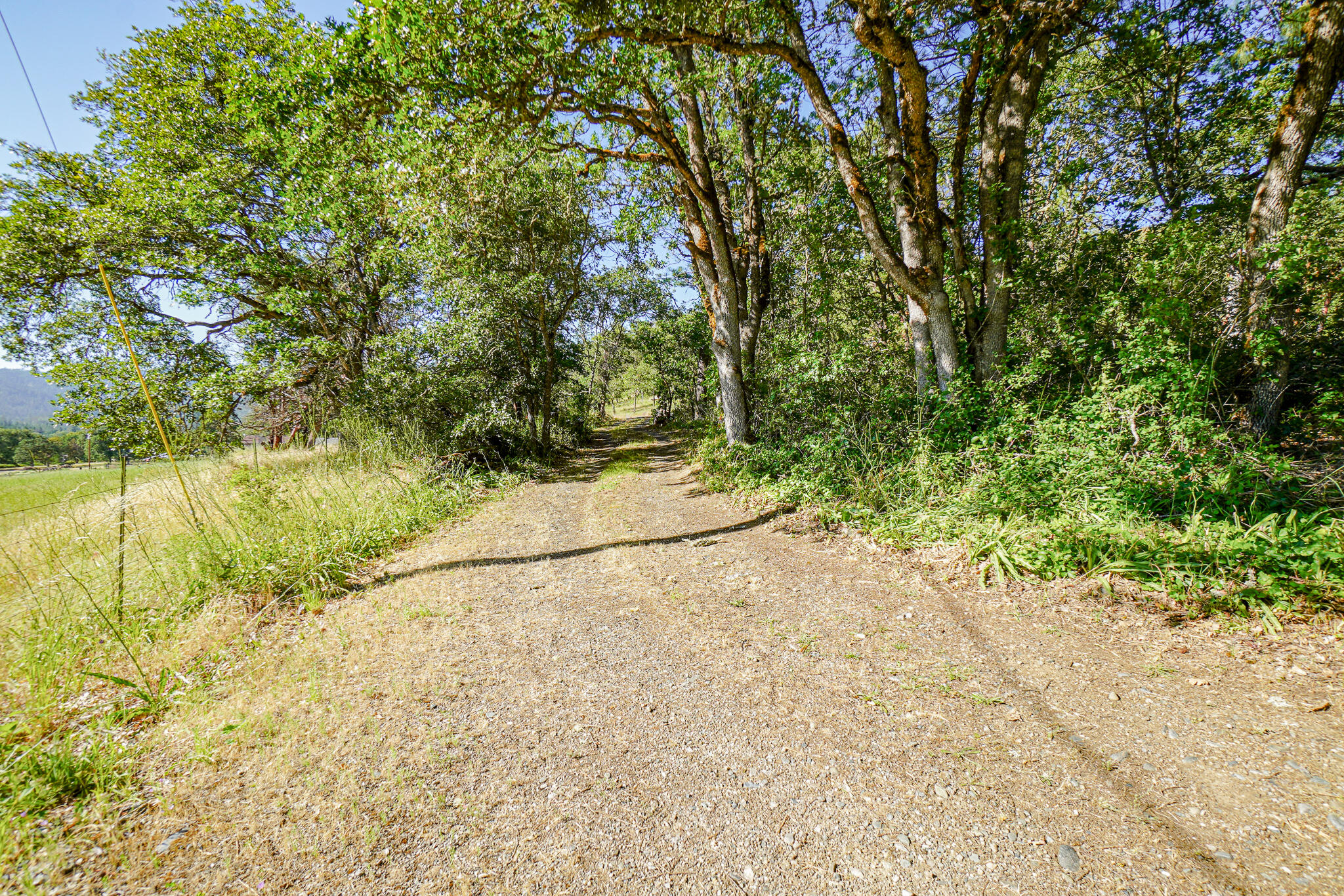 1350 Kubli Road Grants Pass, OR 97527 - Photo 6 of 23 DSC07359