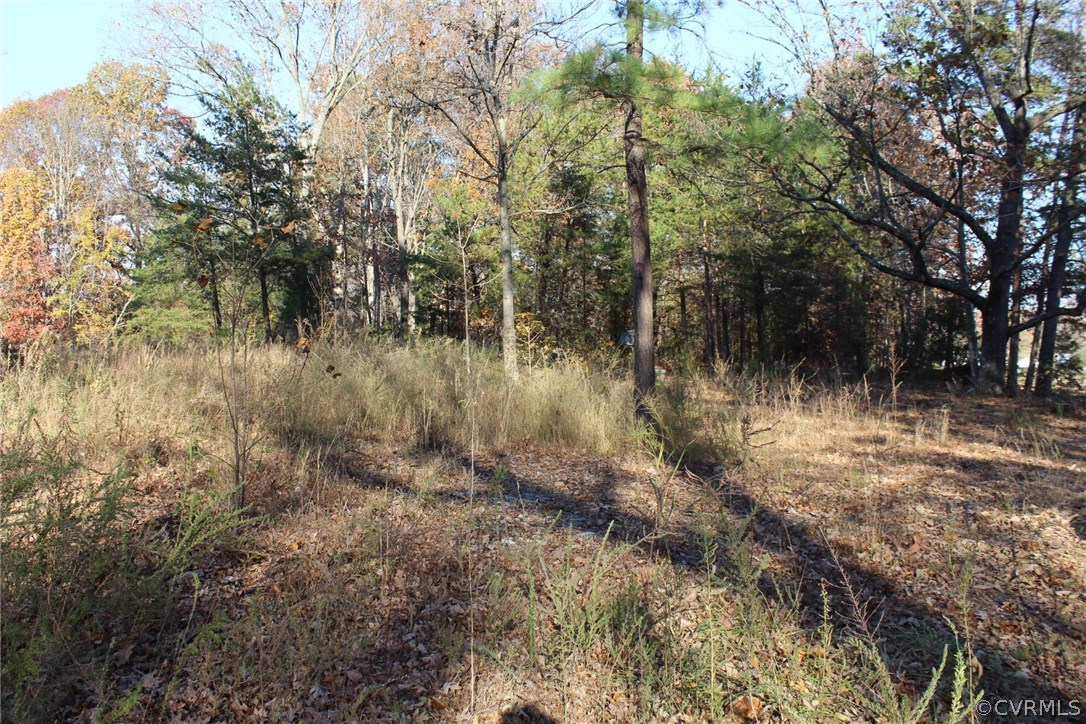 1276 Bell Road Dillwyn, VA 23936 - Photo 3 of 12