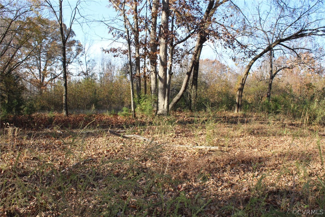 1276 Bell Road Dillwyn, VA 23936 - Photo 4 of 12