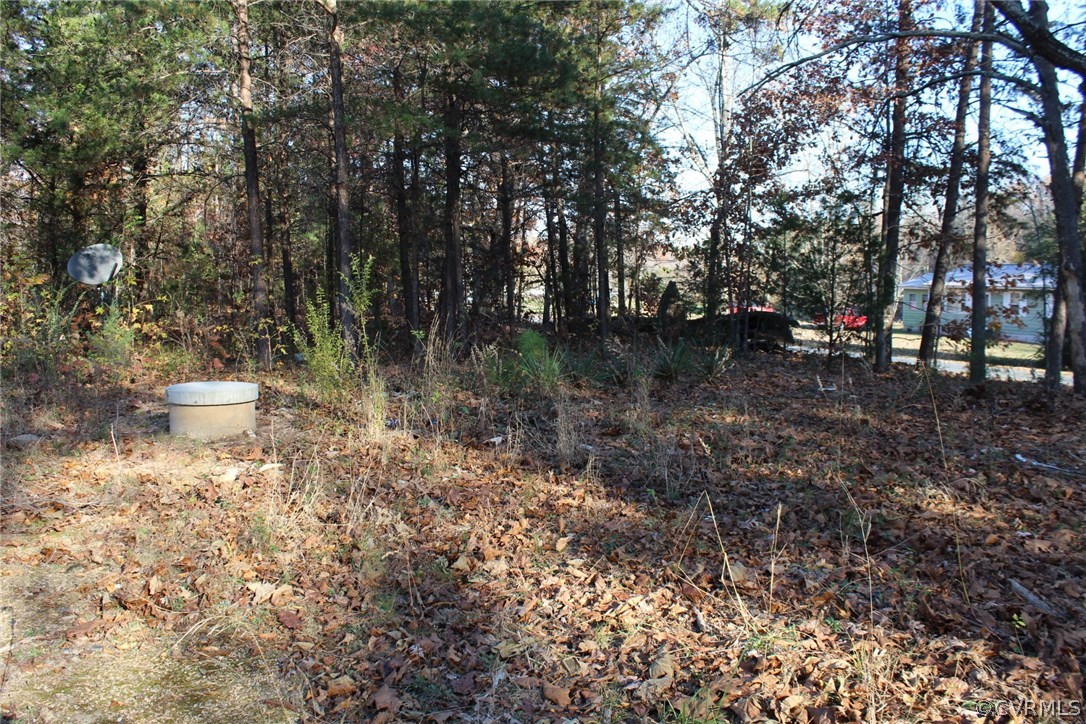 1276 Bell Road Dillwyn, VA 23936 - Photo 5 of 12