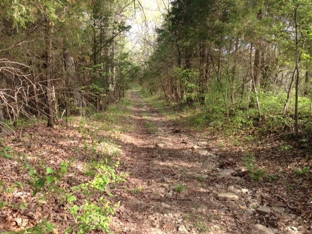 0 Chapel Road Mount Olivet, KY 41064 - Photo 12 of 13 Gallery Image 12