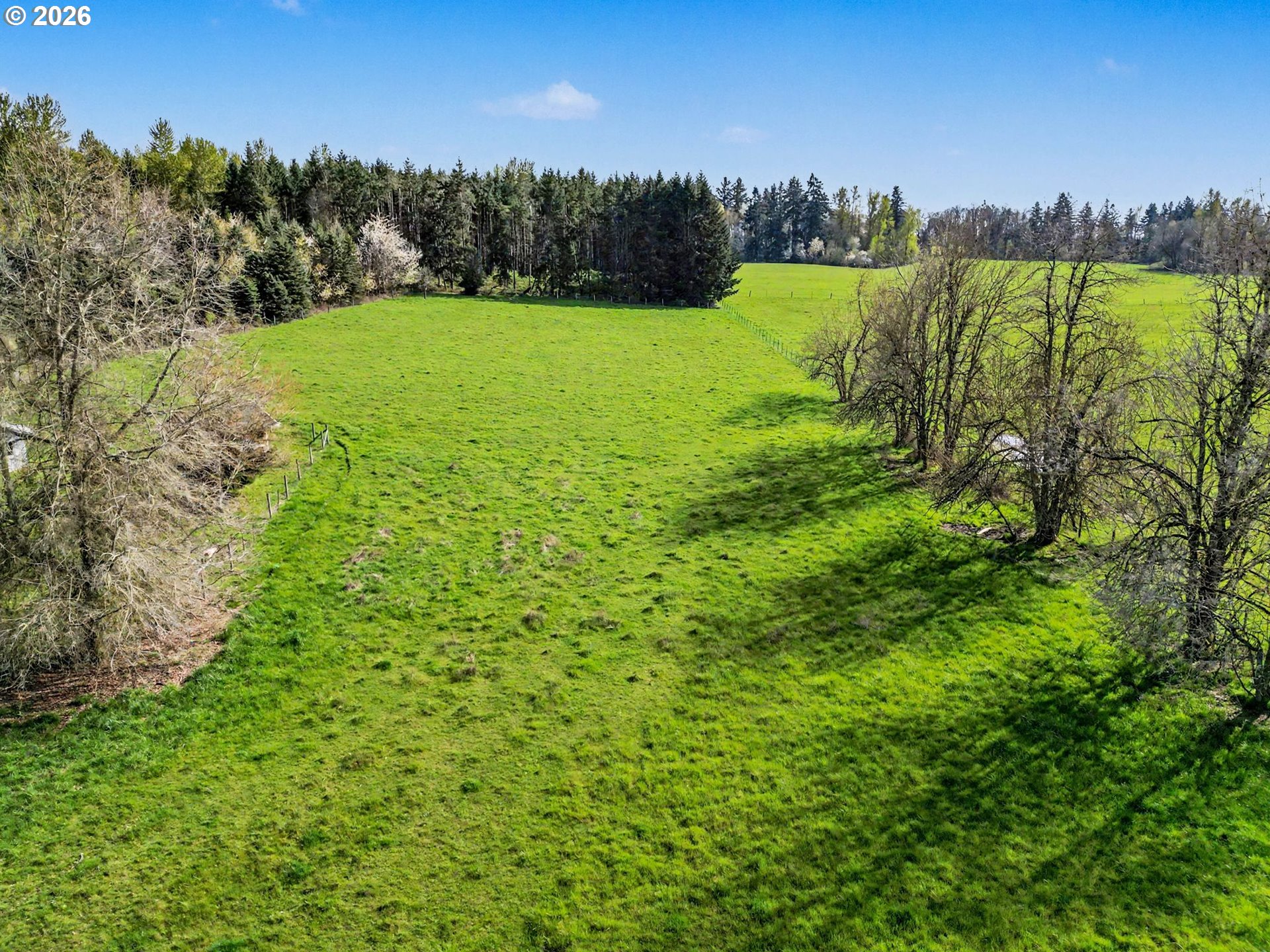 11072 South Bremer Road Canby, OR 97013 - Photo 42 of 44 a view of a yard with a lake