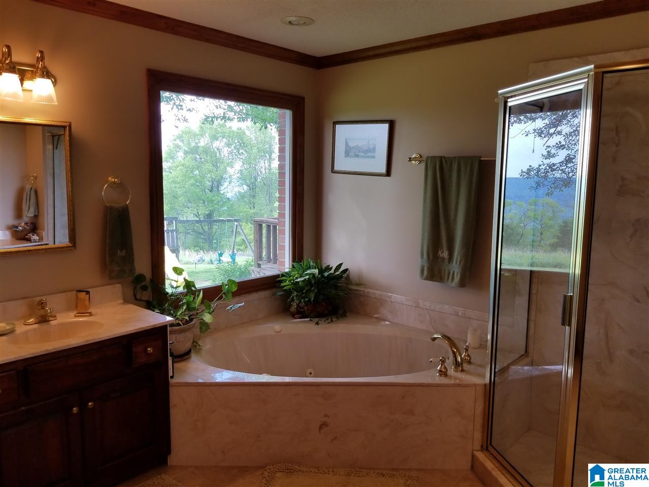 5381 Chandler Mountain Road Steele, AL 35987 - Photo 11 of 27