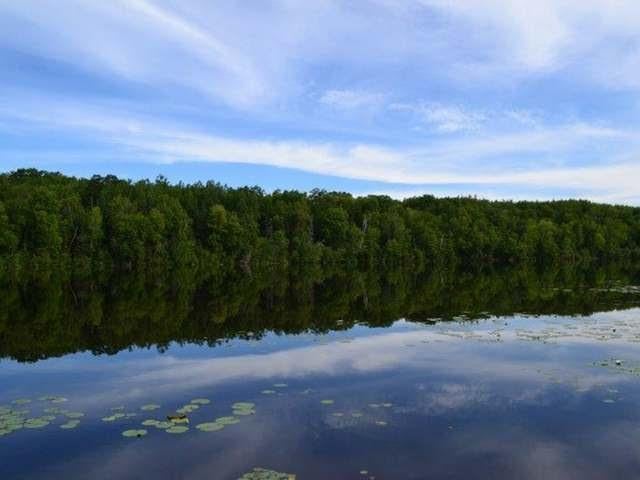 2251 Bunting Lane Rhinelander, WI 54501 - Photo 3 of 34 Gallery Image 3