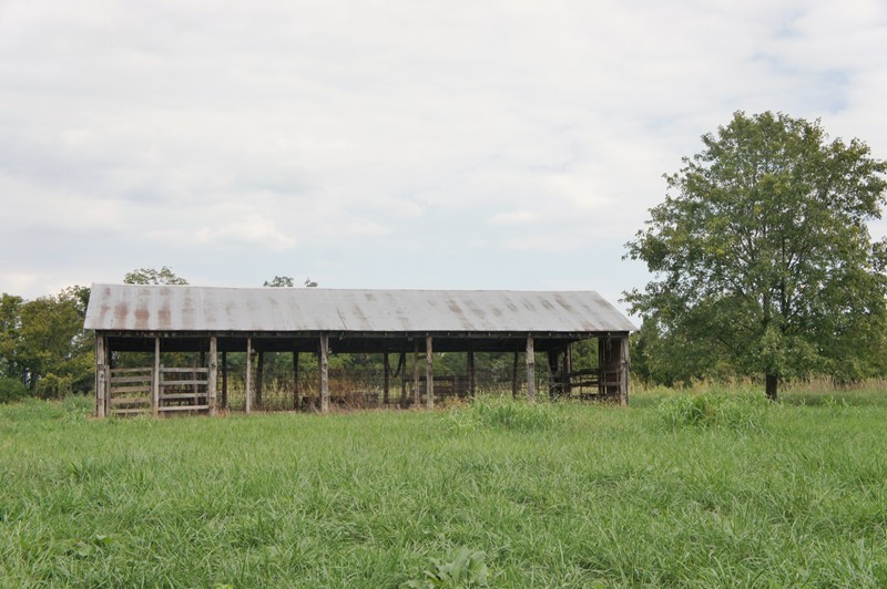 0 Dutchman Lake Road Vienna, IL 62995 - Photo 2 of 7
