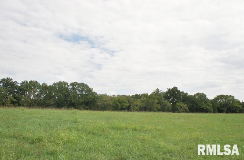 0 Dutchman Lake Road Vienna, IL 62995 - Photo 5 of 7