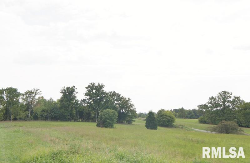 0 Dutchman Lake Road Vienna, IL 62995 - Photo 6 of 7