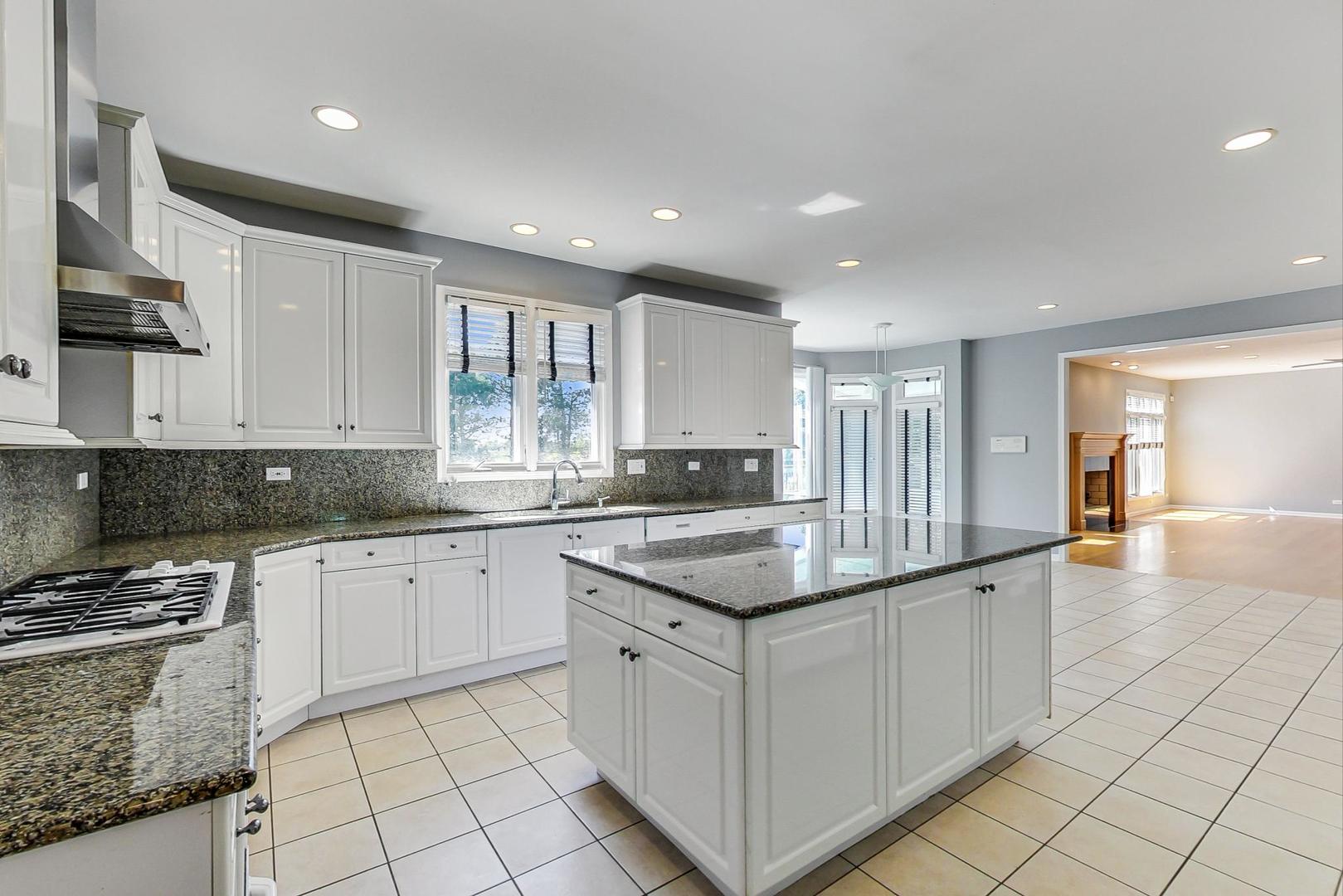 36 Riverside Drive Deerfield, IL 60015 - Photo 9 of 42 a kitchen with granite countertop white cabinets a sink and dishwasher