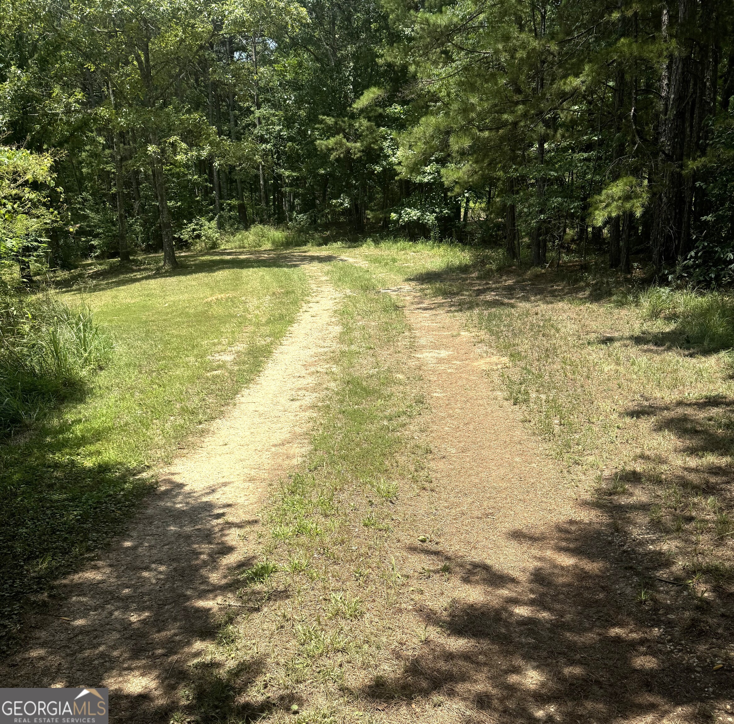 0 Co Rd 61 Fruithurst, AL 36262 - Photo 2 of 6