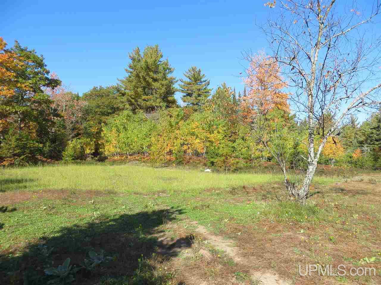 Tbd Co Rd Ff Republic, MI 49879 - Photo 4 of 29