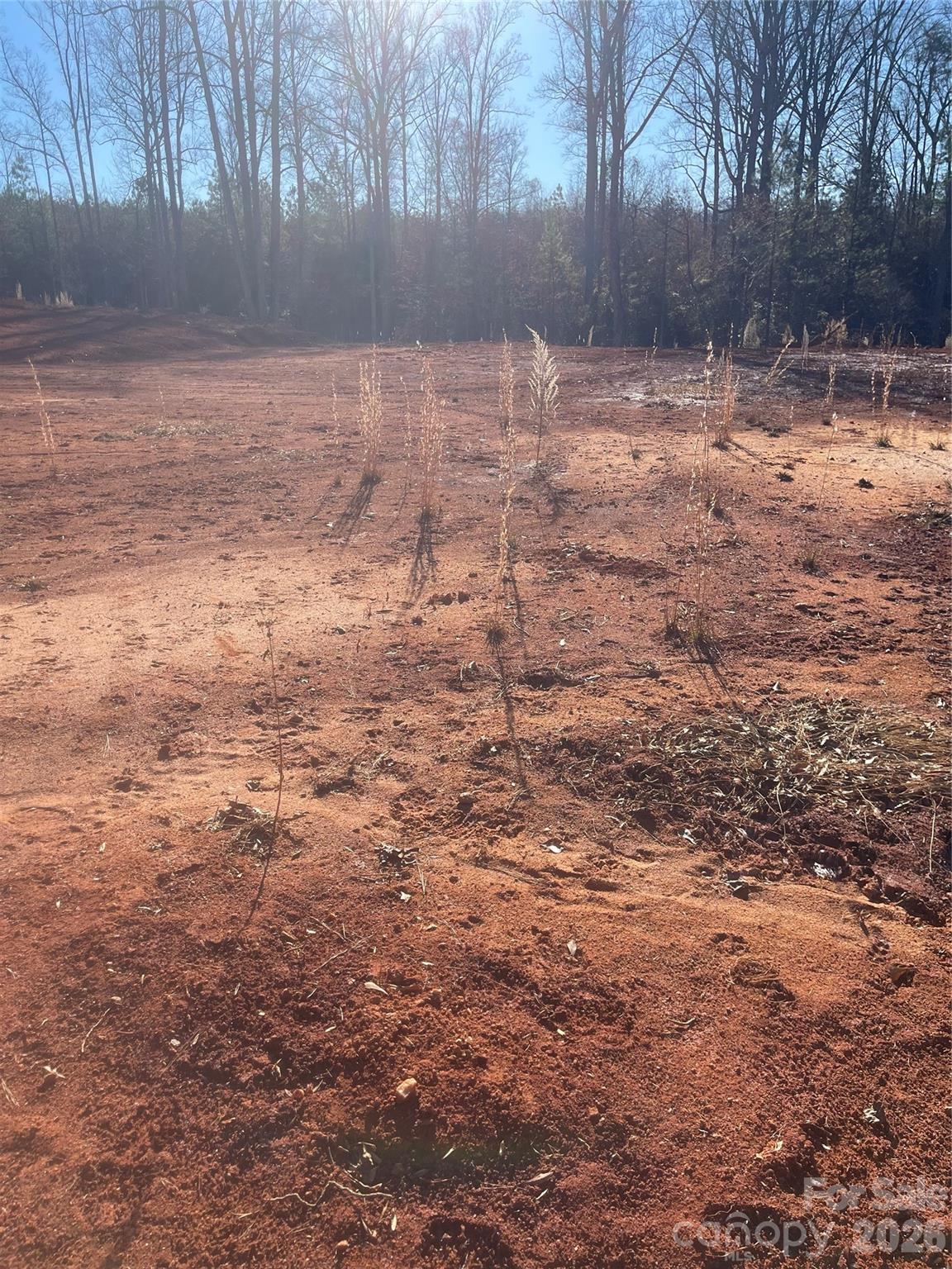 0 Springbrook Lane Mooresboro, NC 28114 - Photo 11 of 15