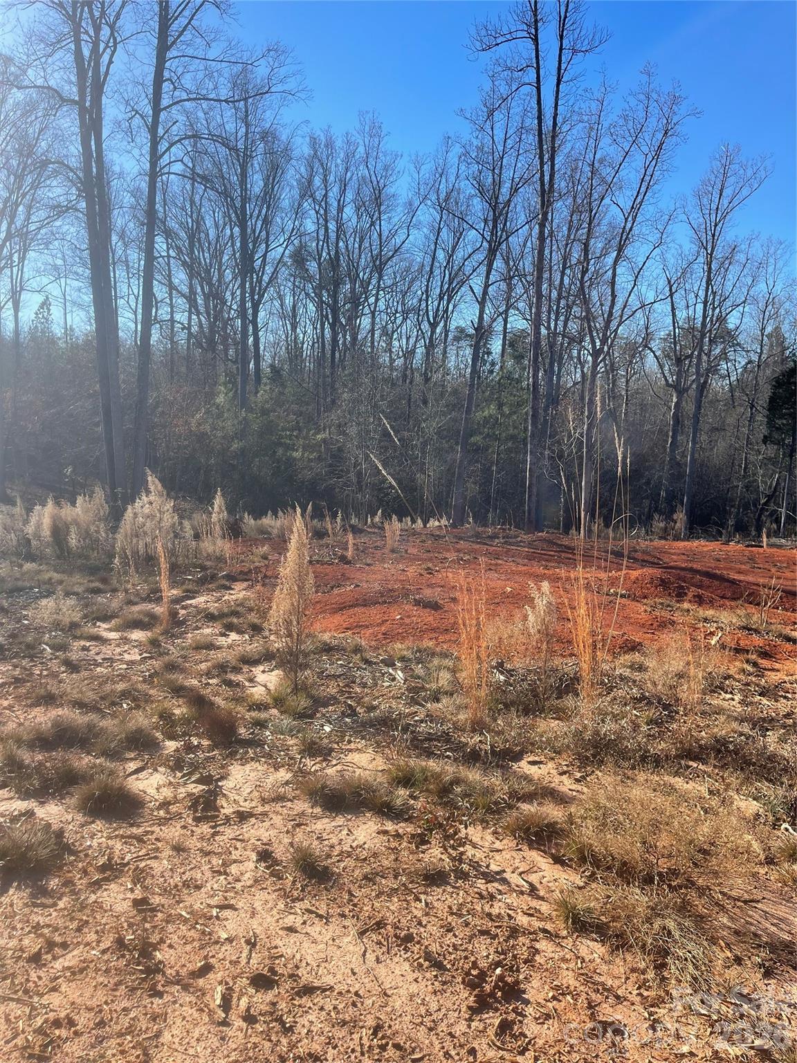 0 Springbrook Lane Mooresboro, NC 28114 - Photo 12 of 15