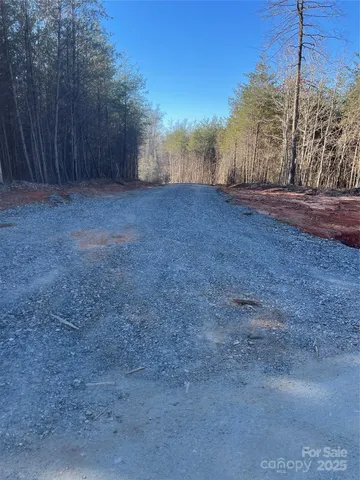 a view of dirt field with large trees