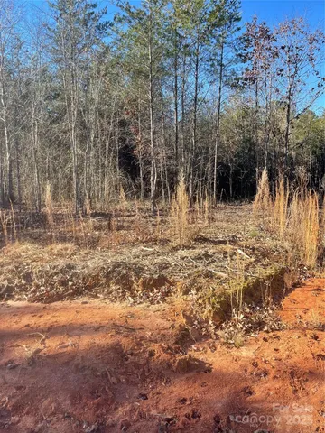 a view of outdoor space with trees